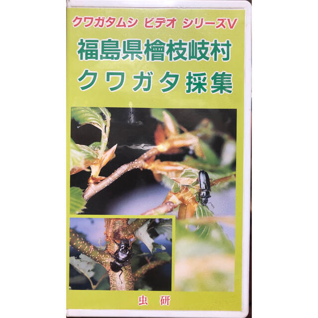 虫研　クワガタムシシリーズⅤ　ビデオ　福島県檜枝岐村　クワガタ採集　VHS