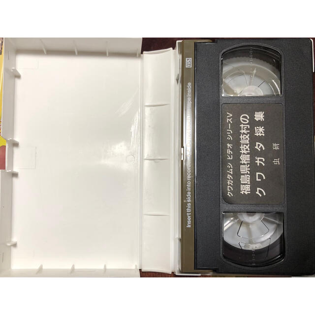 虫研　クワガタムシシリーズⅤ　ビデオ　福島県檜枝岐村　クワガタ採集　VHS