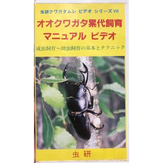 虫研　クワガタムシシリーズ１　ビデオ　オオクワガタスーパー飼育マニュアル　VHS