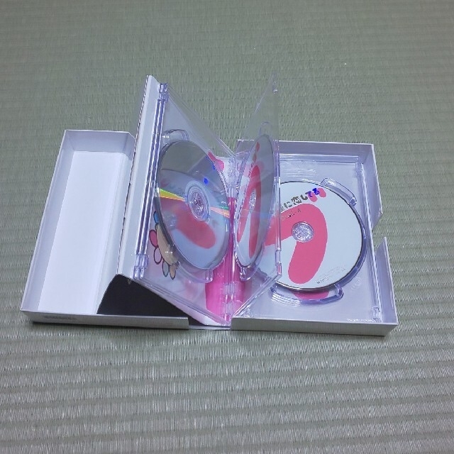 ブスの瞳に恋してるＤＶＤ－ＢＯＸ DVD