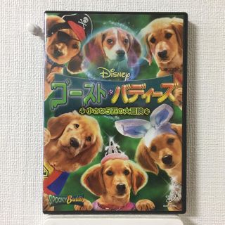 ゴースト・バディーズ／小さな5匹の大冒険 DVD(外国映画)