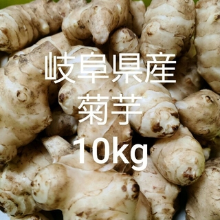 岐阜県産 無農薬 菊芋 10kg 洗浄済み お得！(野菜)