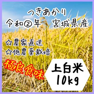 即購入OK♪ 【農家直送】宮城県産つきあかり　上白米10kg【送料無料】新米☆(米/穀物)