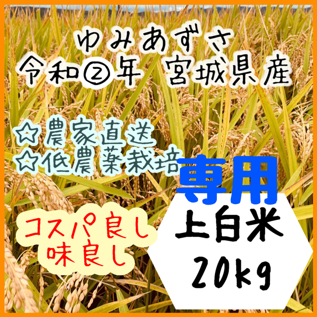 米/穀物☆専用品【農家直送】宮城県産ゆみあずさ 上白米10kg×2袋【送料無料】