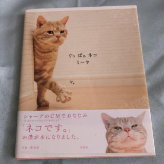 ぐぅぱぁネコミーヤ(専門誌)