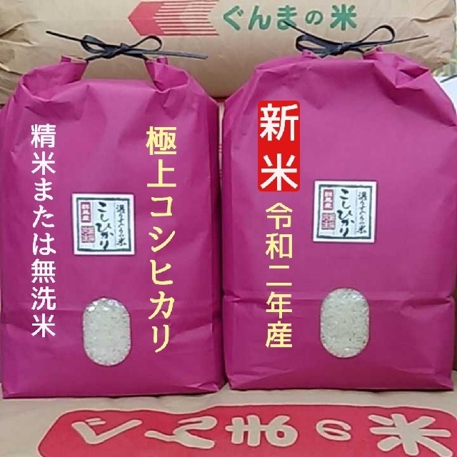 令和2年産！極上コシヒカリ！精米or無洗米！10！