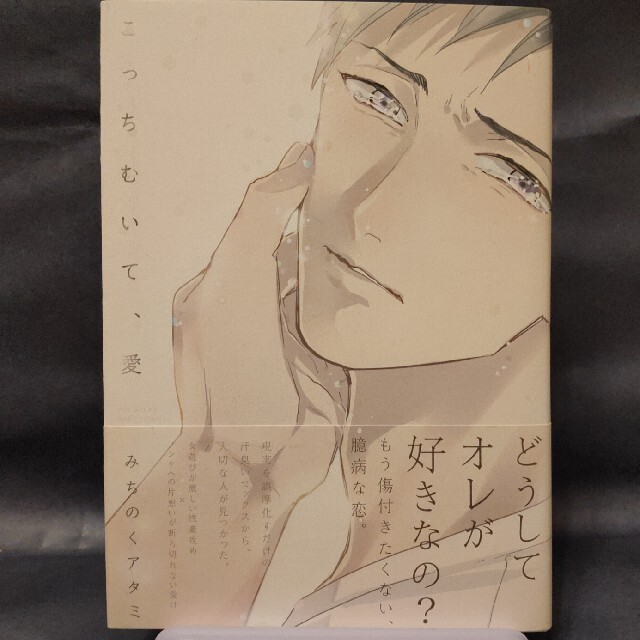 こっちむいて、愛 エンタメ/ホビーの漫画(ボーイズラブ(BL))の商品写真