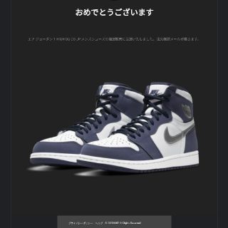 ナイキ(NIKE)のエアジョーダン1 HIGH OG CO.JP 29cm(スニーカー)