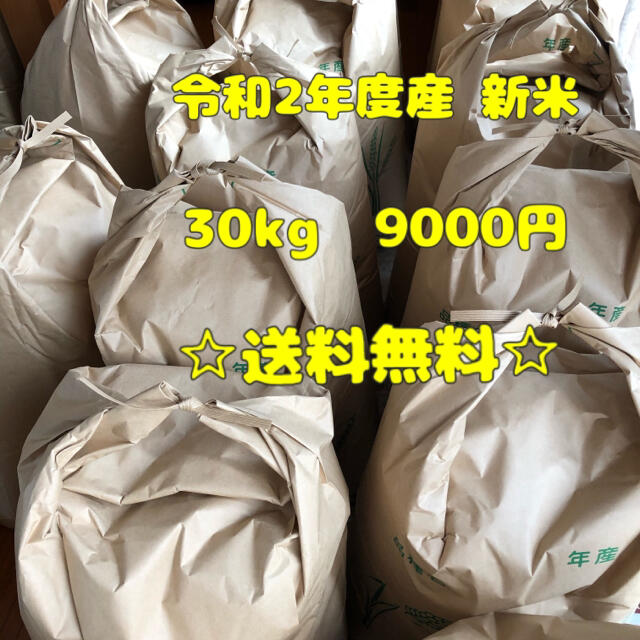 食品令和2年度産　ひのひかり（愛媛県産）　玄米30キロ