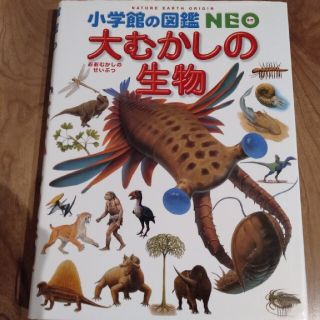 大むかしの生物(絵本/児童書)