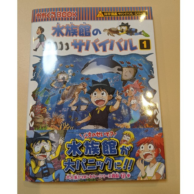 超お買い得!】 ポウちゃん様専用です fawe.org
