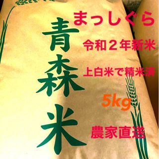 まっしぐら　5kg　新米　令和２年　上白米(米/穀物)