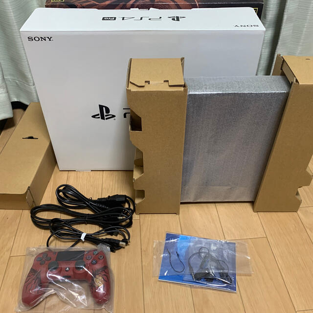 PS4 Pro WORLD LIOLAEUS EDITION レオリウス