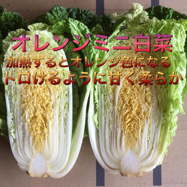 野菜BOX Lサイズ 食品/飲料/酒の食品(野菜)の商品写真