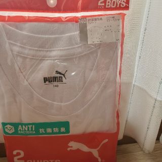 プーマ(PUMA)の新品プーマ下着  半袖  140㎝(下着)