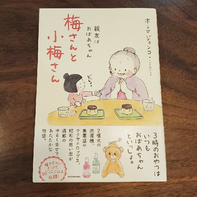 梅さんと小梅さん 親友はおばあちゃん エンタメ/ホビーの本(文学/小説)の商品写真