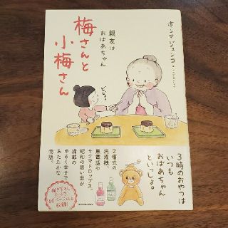 梅さんと小梅さん 親友はおばあちゃん(文学/小説)