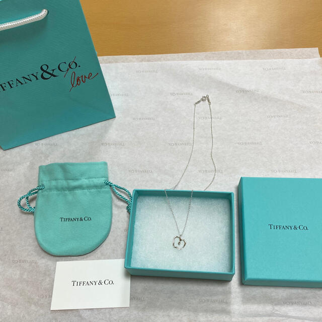 Tiffany & Co.(ティファニー)のTiffany&Co ティファニーNY限定アップル シルバーネックレス レディースのアクセサリー(ネックレス)の商品写真