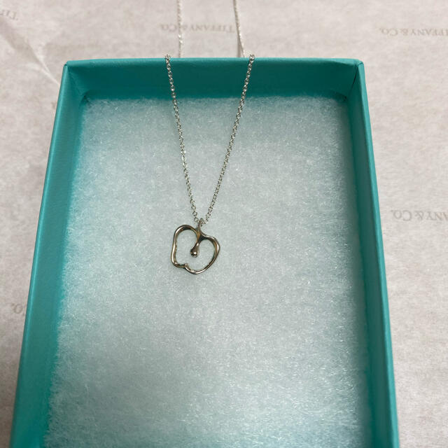 Tiffany & Co.(ティファニー)のTiffany&Co ティファニーNY限定アップル シルバーネックレス レディースのアクセサリー(ネックレス)の商品写真