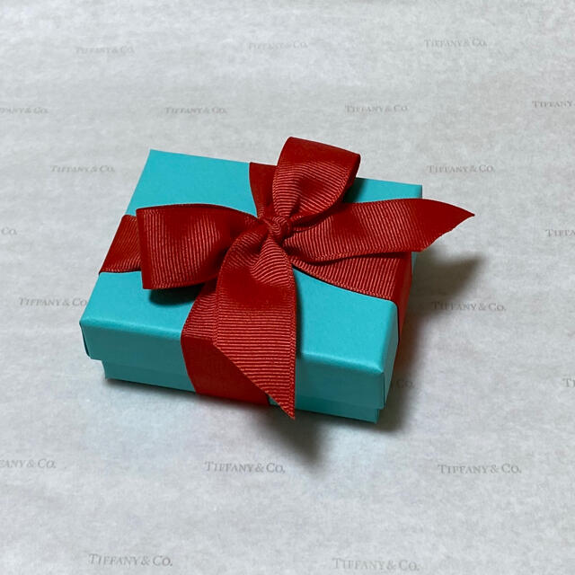 Tiffany & Co.(ティファニー)のTiffany&Co ティファニーNY限定アップル シルバーネックレス レディースのアクセサリー(ネックレス)の商品写真