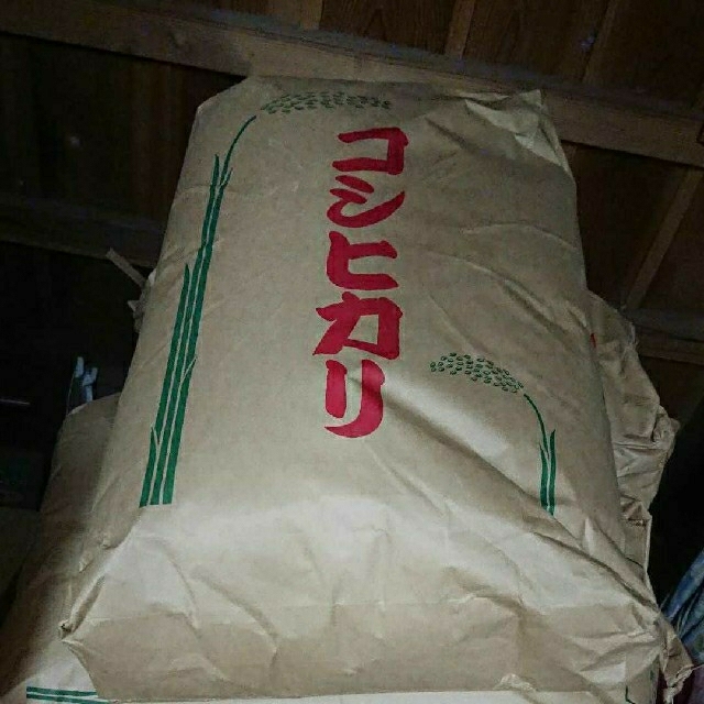 ☆☆新米☆☆ 令和2年 千葉県産 コシヒカリ 玄米 30㎏