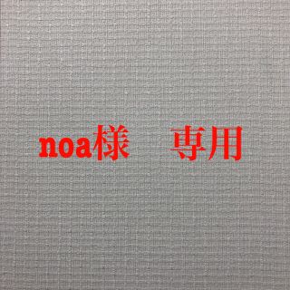 イデアインターナショナル(I.D.E.A international)のnoa様専用(その他)