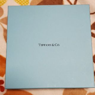 ティファニー(Tiffany & Co.)の新品 ティファニー tiffany&co プレート ペアプレート プ(食器)