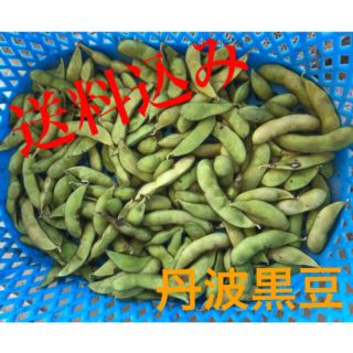 兵庫県産　丹波黒豆　無農薬　新鮮野菜　無農薬　黒枝豆　450g ネコポス(野菜)