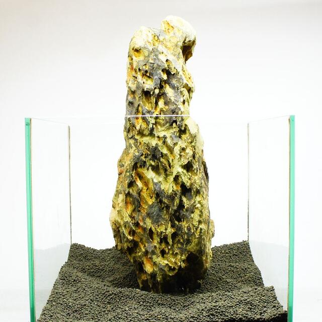 気孔石 親石 超特大 40cm KS001 アクアリウム レイアウト石