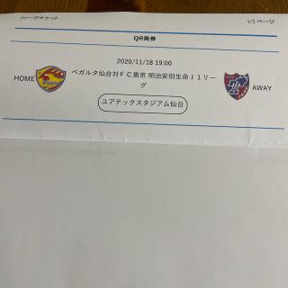 11月18日ベガルタ仙台VSFC東京自由席南(サッカー)