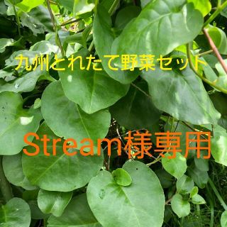 Stream様専用　80サイズ(野菜)