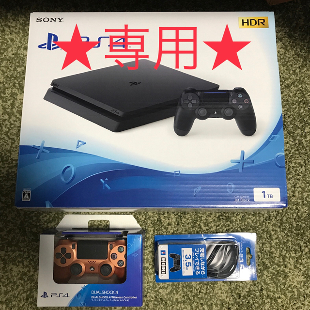 SONY PlayStation4 本体 CUH-2200BB01