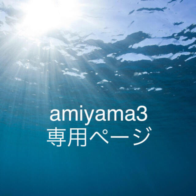 amiyama3  あーさん　専用です。