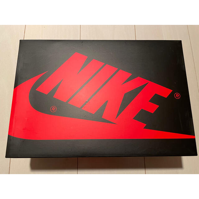 【25cm】Nike AJ1 Retro High OG CO.JP