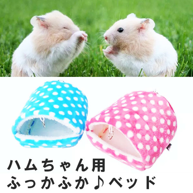 新品 ハムスター ハウス 家 防寒 寝床 ふかふか 小動物 チンチラ ピンクの通販 By みんとミントmint S Shop ラクマ 新品 ハムスター ハウス 家 防寒 寝床 ふかふか 小動物 チンチラ ピンクの通販 By みんとミントmint S Shop ラクマ
