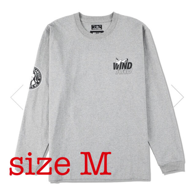 HYSTERIC GLAMOUR(ヒステリックグラマー)のWIND AND SEA × HYSTERIC GLAMOUR ロンT gray メンズのトップス(Tシャツ/カットソー(七分/長袖))の商品写真