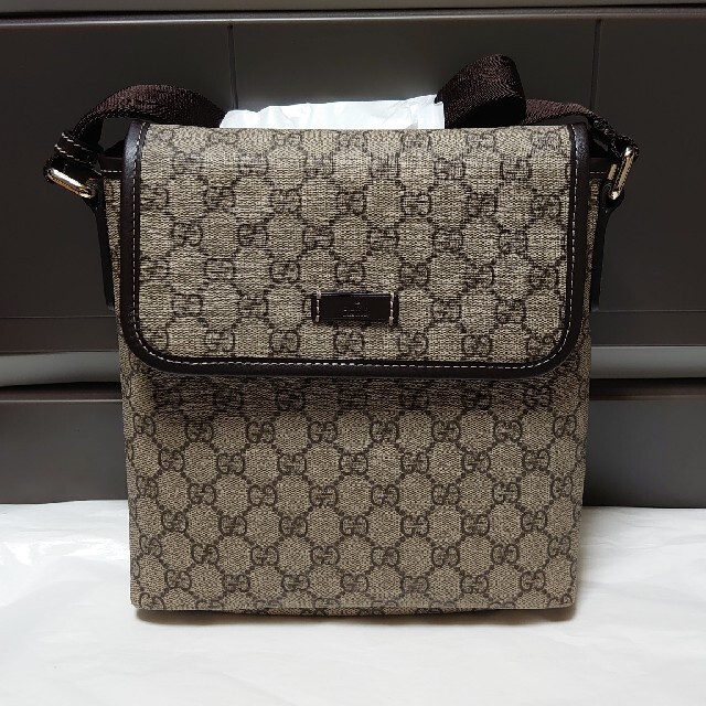 Gucci(グッチ)の新品！GUCCI 斜めがけバッグ GGプラス レディースのバッグ(ショルダーバッグ)の商品写真