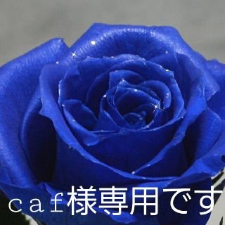 caf様専用です　♥️ライダースジャケット❤️　本革　リアルレザー(ライダースジャケット)