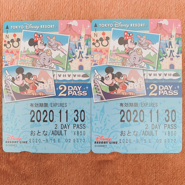 Disney(ディズニー)のディズニーリゾートライン★2DAY★パス チケットの施設利用券(遊園地/テーマパーク)の商品写真