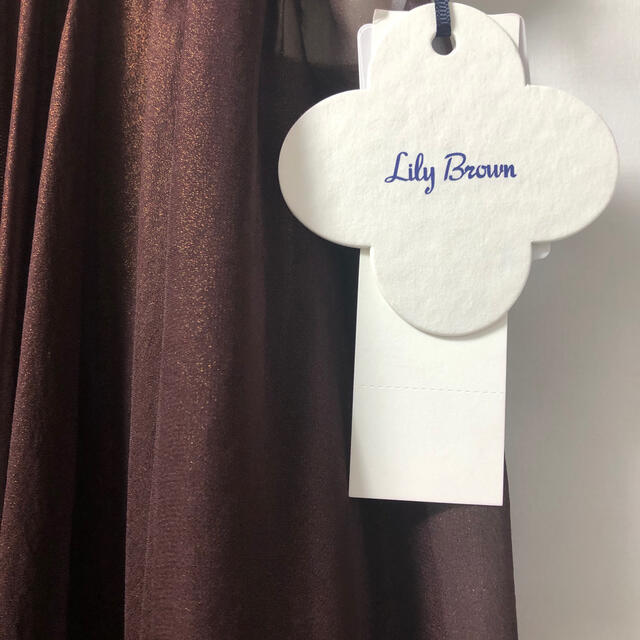Lily Brown(リリーブラウン)のLilyBrown 光沢シアースカート レディースのスカート(ひざ丈スカート)の商品写真