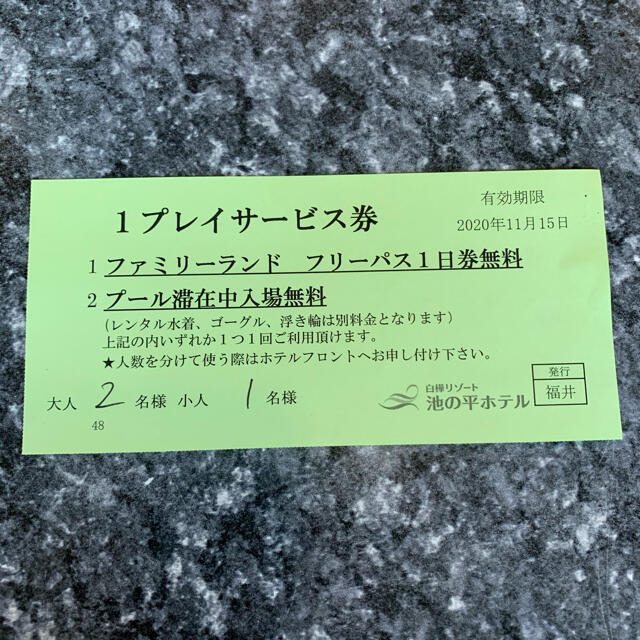 池の平ファミリーランド　フリーチケット チケットの施設利用券(遊園地/テーマパーク)の商品写真