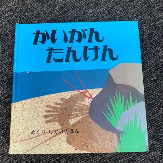 しかけ絵本　かいがんたんけん(絵本/児童書)