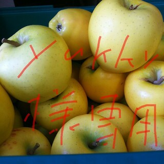 yukky専用青森県産  りんご  シナノゴールド  5キロ  10個～18個訳(フルーツ)