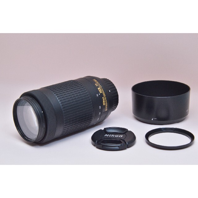 AF-P DX NIKKOR 70-300mm f/4.5-6.3G ED VR