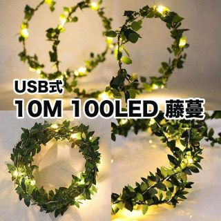 D40 USB式 藤蔓 銅線ランプ 10M 100球