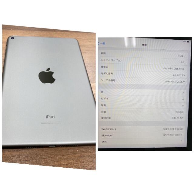 【◆T825】美品 iPad mini 第5世代 256GB Wi-Fiモデル