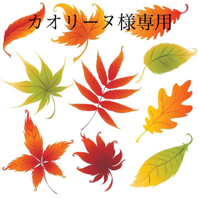 カオリーヌ様専用 専門ショップ kytion-pack.com-日本全国へ全品配達