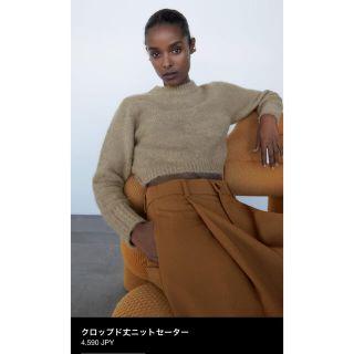 ザラ(ZARA)のZARA クロップド丈ニットセーター　今期完売(ニット/セーター)