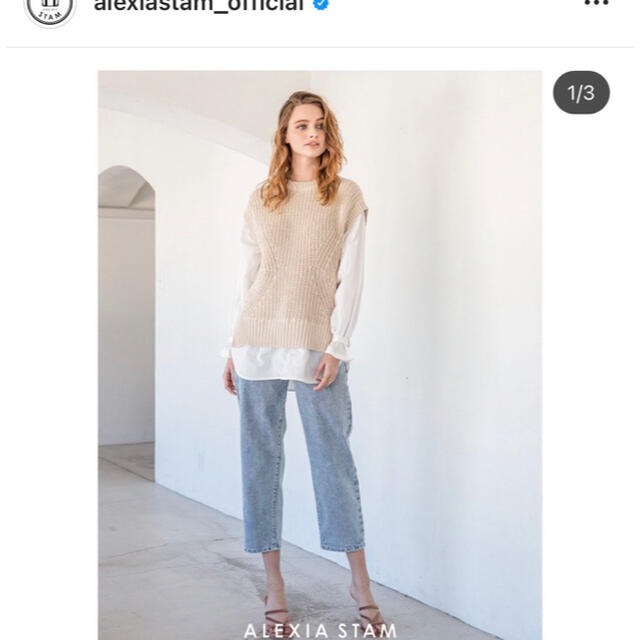 ALEXIA STAM(アリシアスタン)の美品 レディースのトップス(ニット/セーター)の商品写真