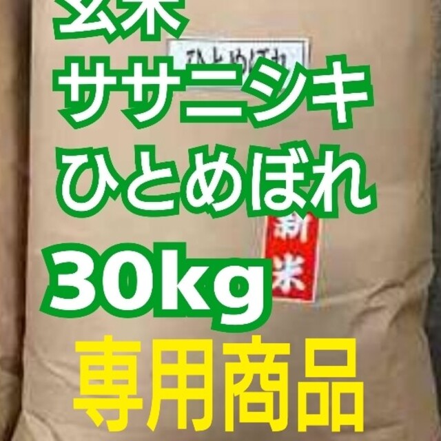 ササニシキ玄米　30kg　玄米　お米　米/穀物